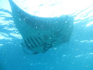 IMG_0199