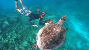 Untitled-1_0000_gamat-bay-nusa-penida-balis-hidden-paradise-guide_N4QaCj1yOKeF9N71qr4JSSio_20250529