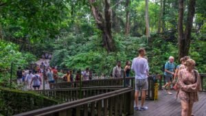 monkey-forest-ubud2-1600x900